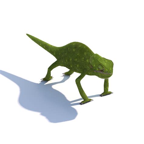 Chameleon 3D Model $99 - .max .unknown - Free3D