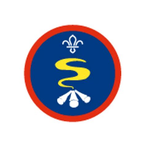 Scout Survival Skills Badge