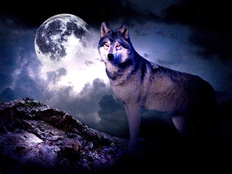 Purple Wolf Wallpapers - Top Free Purple Wolf Backgrounds - WallpaperAccess