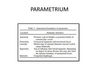 TARGET DELINEATION OF PARAMETRIUM | PPT