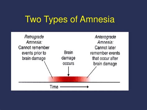 Types of amnesia after head injury - ukraineconcept