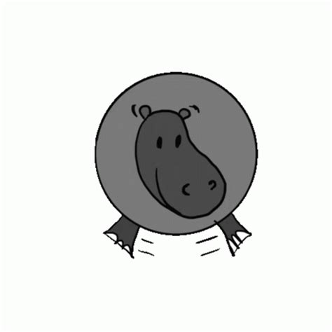 Animals Hippo Sticker - Animals Hippo Hippopotamus - Discover & Share GIFs