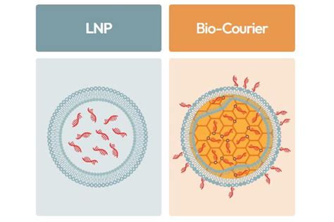 RNA Interference Technology: FDA Approves SiSaf's siRNA Therapy, SIS-101-ADO | Autosomal ...