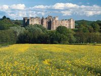 21 Raglan Castle in Wales ideas | castles in wales, castle, medieval castle