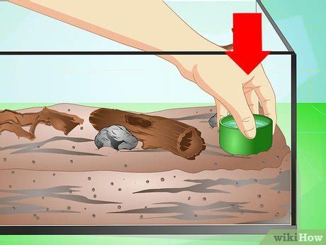 How to Make a Millipede Habitat (with Pictures) - wikiHow