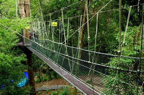 Penang Hill Canopy Walk - Discover great parks, preserves, and natural ...