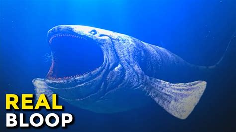 The Bloop: Real Footage Finally Discovered? (Exclusive) - YouTube