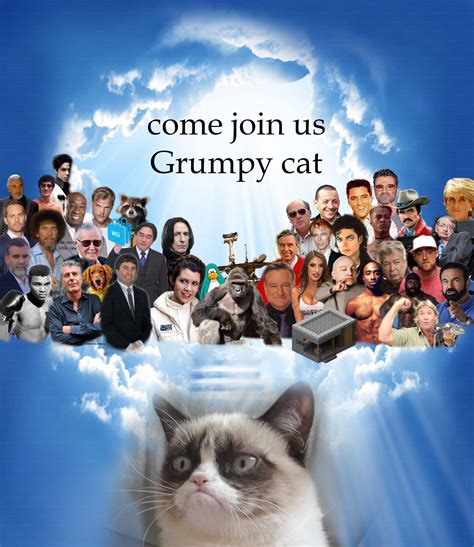 Tribute : r/GrumpyCat