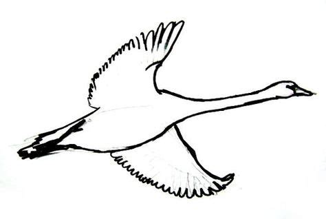 Flying Goose Drawing at PaintingValley.com | Explore collection of ...