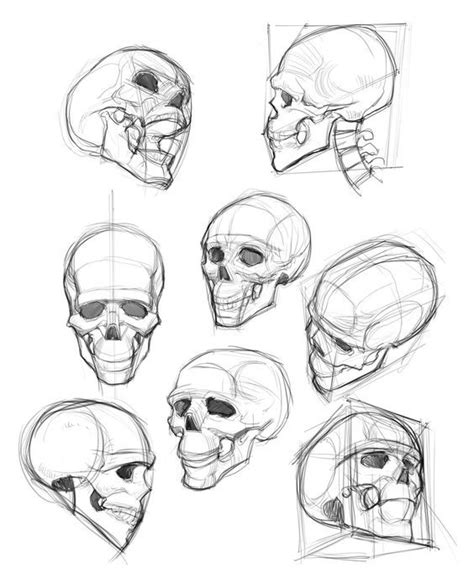 Skull Reference, Figure Drawing Reference, Art Reference Photos, Anatomy Reference, Pose ...