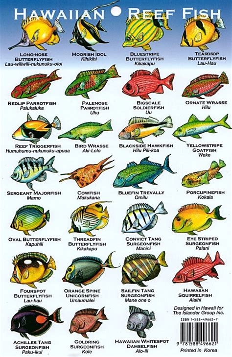 Coral Reef Fish Chart