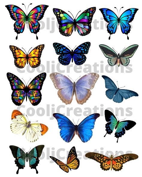 Colorful Butterfly Clip Art for Scrapbooking, Journals and Diaries ...