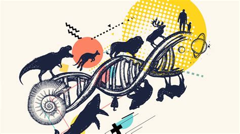 Genetics and Evolution - Biology Online Tutorial