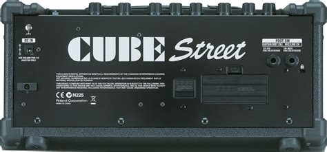 Roland Cube Street Battery-Powered Amp | zZounds