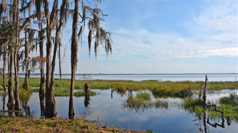 Hiking Clermont – Florida Hikes