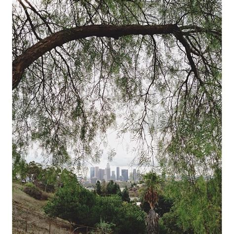 From Elysian park | Los angeles parks, California travel, Los angeles ...