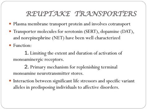 PPT - ANTIDEPRESSANTS - PHARMACODYNAMICS PowerPoint Presentation - ID ...