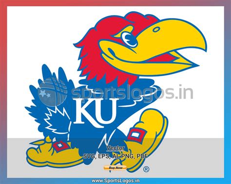 Kansas Jayhawks - College Sports Vector SVG Logo in 5 formats ...