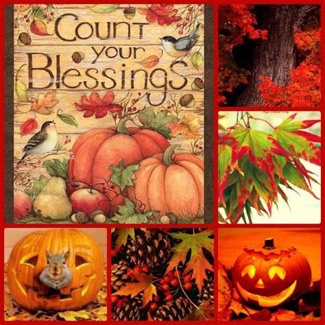 Pin by Ginger Rafferty on Autumn & Fall | Pumpkin carving, Painting, Carving