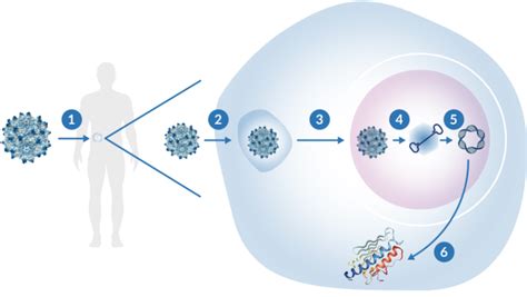 Our Approach - StrideBio