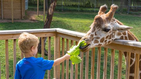 Elmwood Park Zoo To Celebrate 95th Anniversary With First Ever Black Tie Gala Featuring Philly POPS