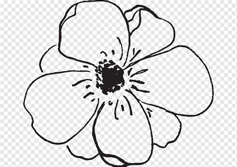 Bunga Menggambar Desain bunga, jenis, putih, wajah, monokrom png | PNGWing