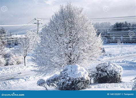 Biddeford Maine Snowy Winter Landscape New England Stock Image - Image ...