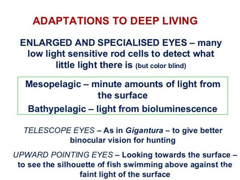 Deep sea adaptations