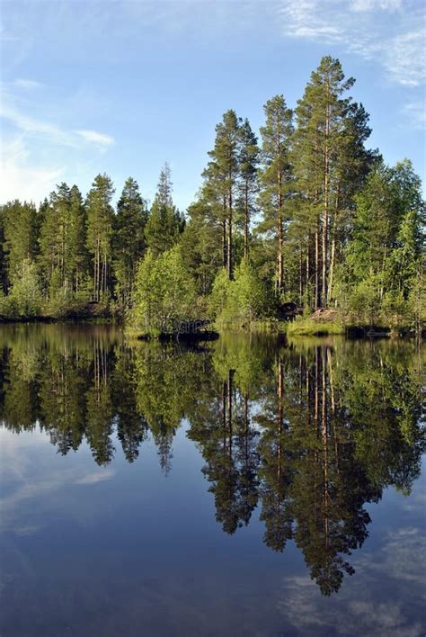 Nature of Karelia stock photo. Image of soft, siberia - 61826490