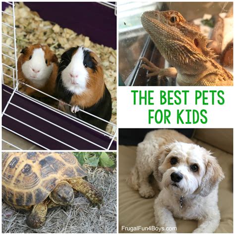 The Best Pets for Kids - Choose the best pet for your child! - Frugal Fun For Boys and Girls