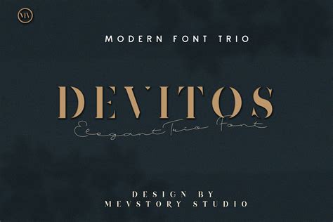 Devitos Modern & Elegant Serif Font By Mevricks Studio | TheHungryJPEG