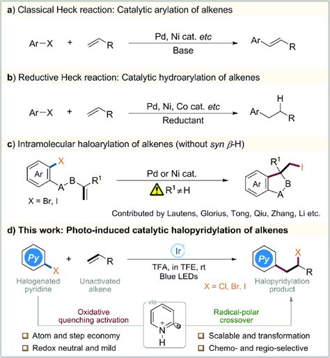 Alkyl Halide To Alkene