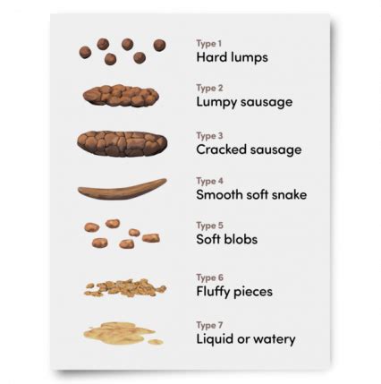 Tracking your bowel movements - Dimensions