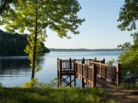 Toledo Bend home to 2 Louisiana State Parks | The Heart of Louisiana