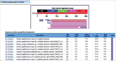 Genomics – General Microbiology