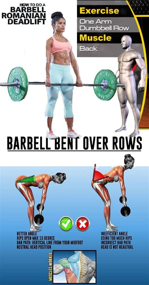 √ Barbell Rows Proper Form