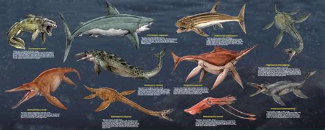 Prehistoric Sea Creatures List