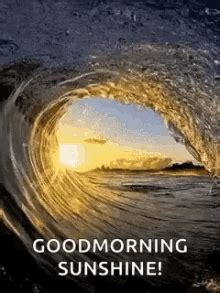 Good Morning Sunshine Gif Cat