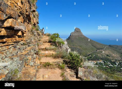 Hiking trail at Table Mountain and view of Lion's head mountain in the ...