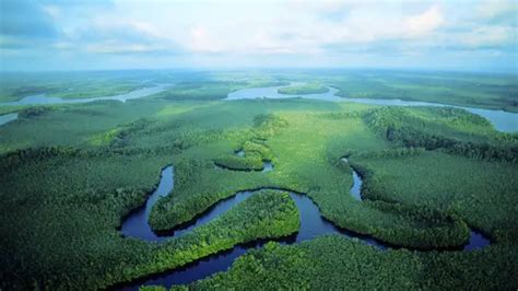 Congo River and forest- Top Facts you should Know - Environmental Earth