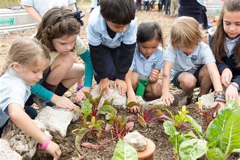 School Garden Support and Training - Sustainable Food Center - Austin, TX Sustainable Schools ...