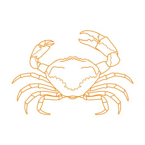 Tasmanian Giant Crab (Pseudocarcinus gigas) Dimensions & Drawings ...