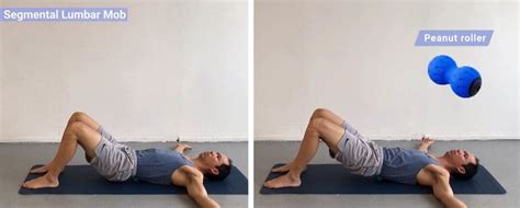 5 Multifidus Exercises for a Strong & Stable Lumbar Spine ...