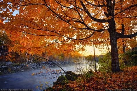 🔥 [50+] Maine Fall Foliage Wallpapers | WallpaperSafari