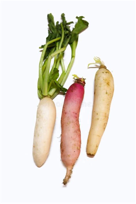 Different Types of Radish are Isolated on a White Background, Top View ...