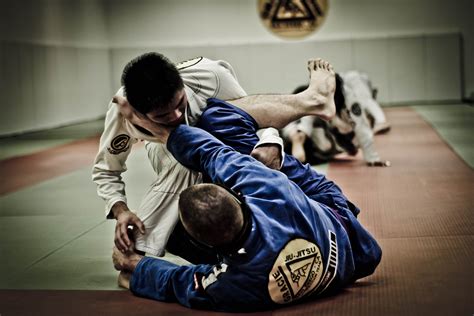 Judo Vs Jiu Jitsu Brasileño - Martial Tribes