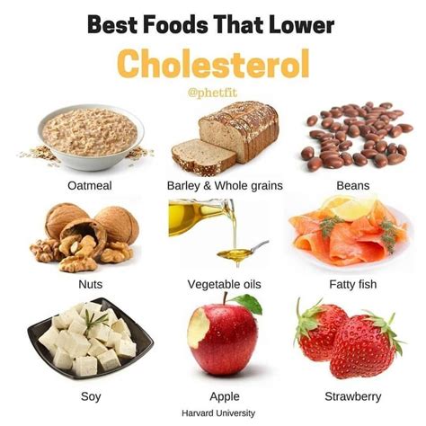 Steps to Prepare Best Vegetarian Foods To Lower Cholesterol