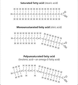 Monounsaturated Fats Structure