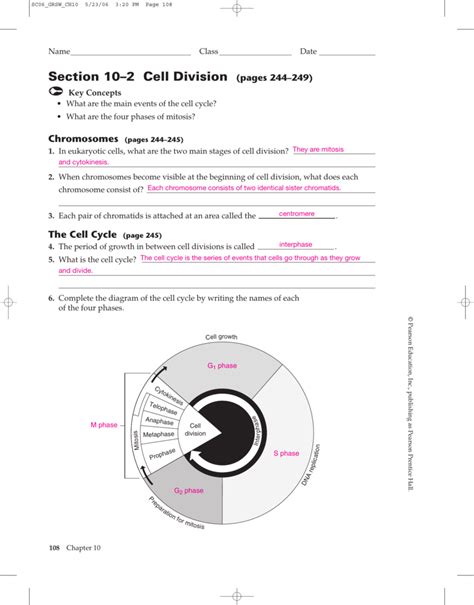 worksheet. Cell Growth And Division Worksheet. Grass Fedjp Worksheet ...