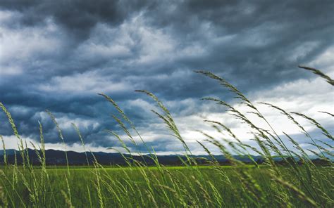 Riding out the storm — The Calm Within